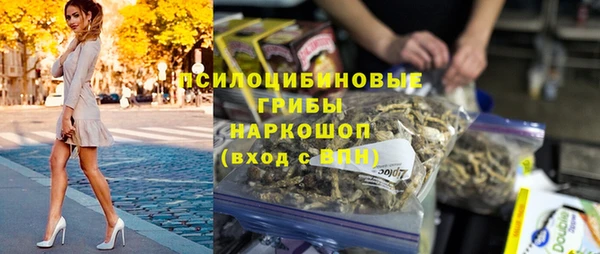 амф Алексин