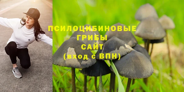 амф Алексин
