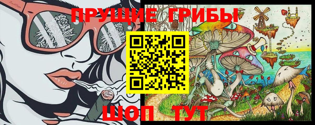 Галлюциногенные грибы GOLDEN TEACHER  Псилоцибиновые грибы Psilocybine cubensis  Балашиха  Вход с VPN 